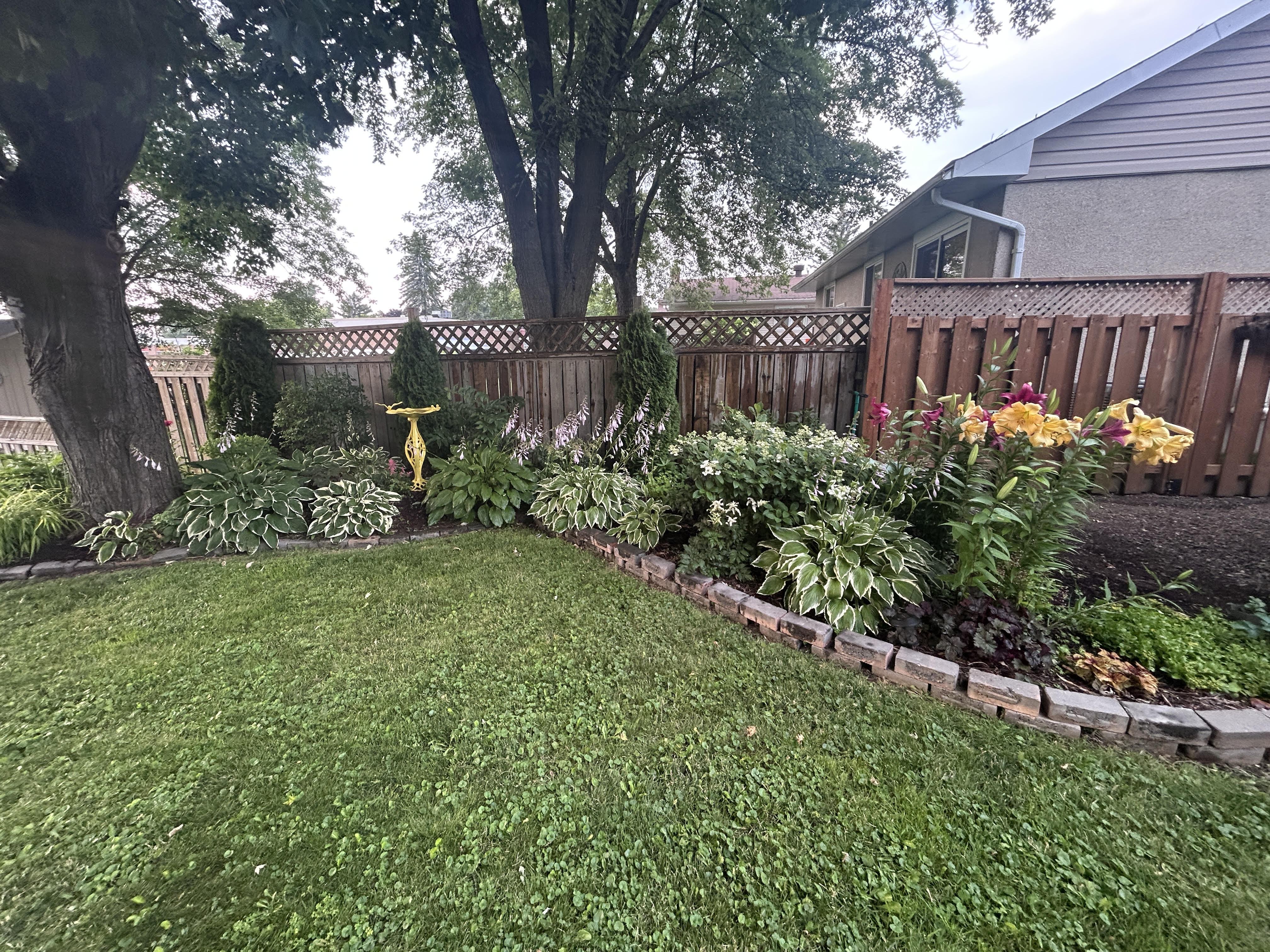 August Garden Winner