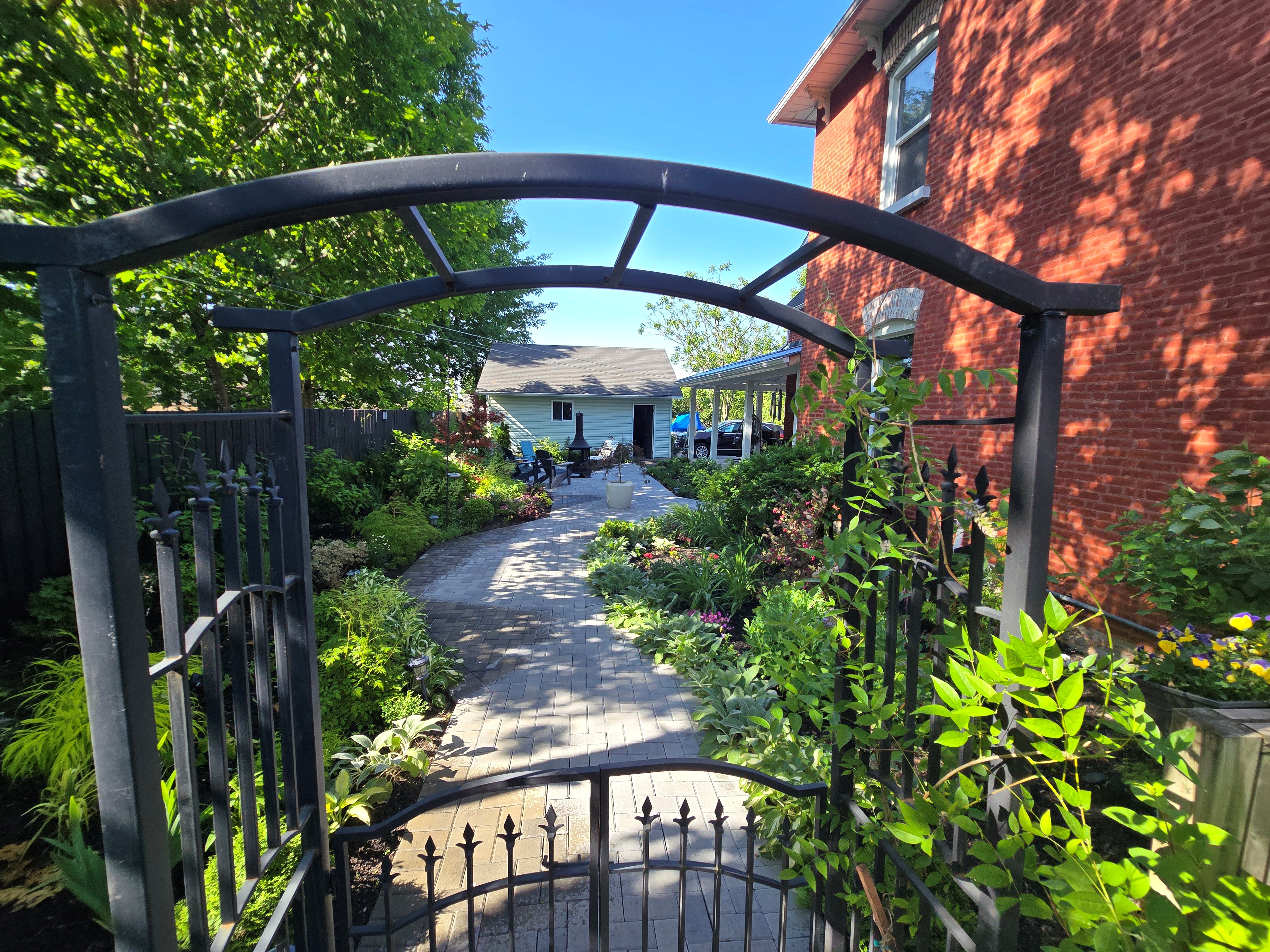 Picture of the garden from the june 2025 winner