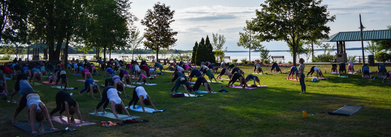 A group of people doing yoga in a waterfront park overlooking a river.