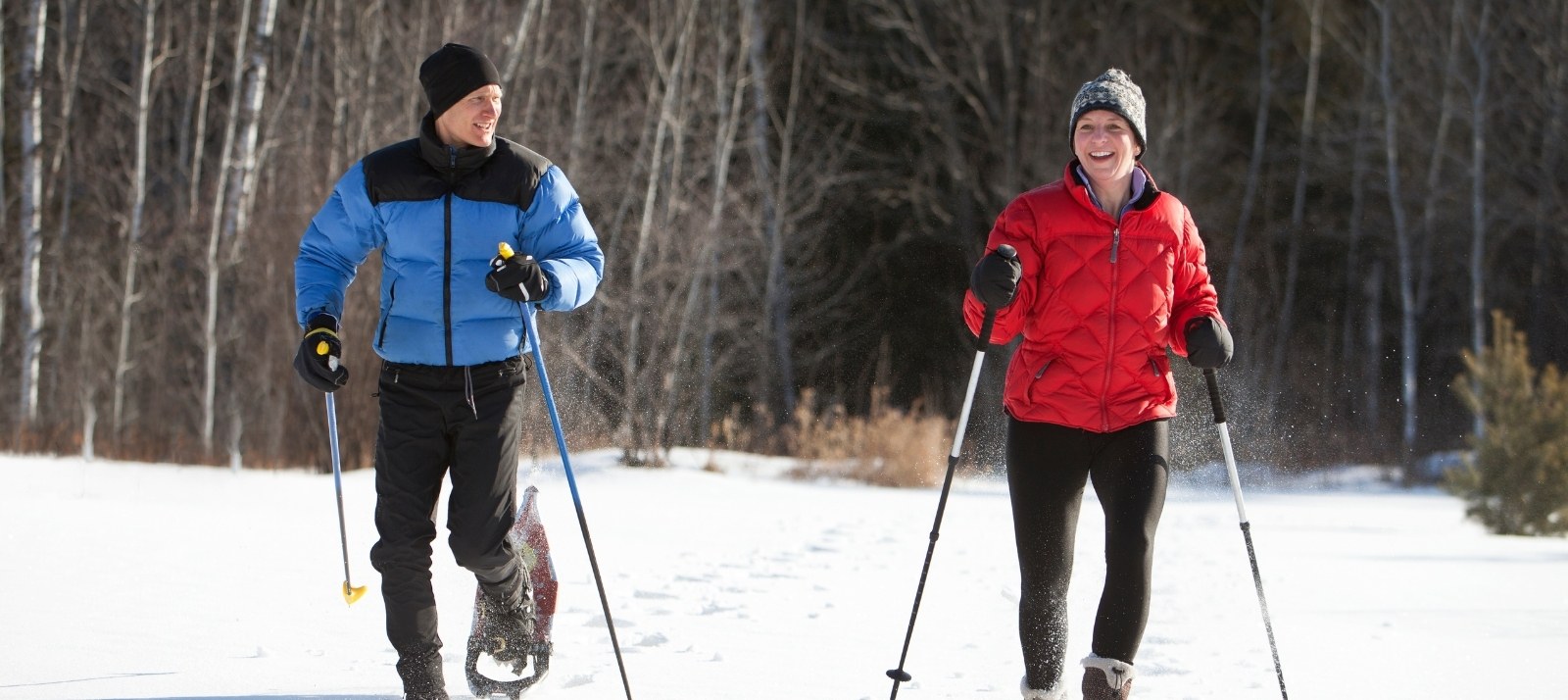 Two people cross-country skiing.