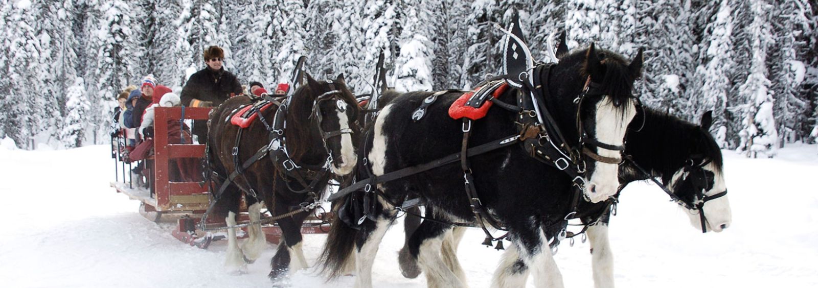 A horse-drawn wagon pulling a group of people through snow.