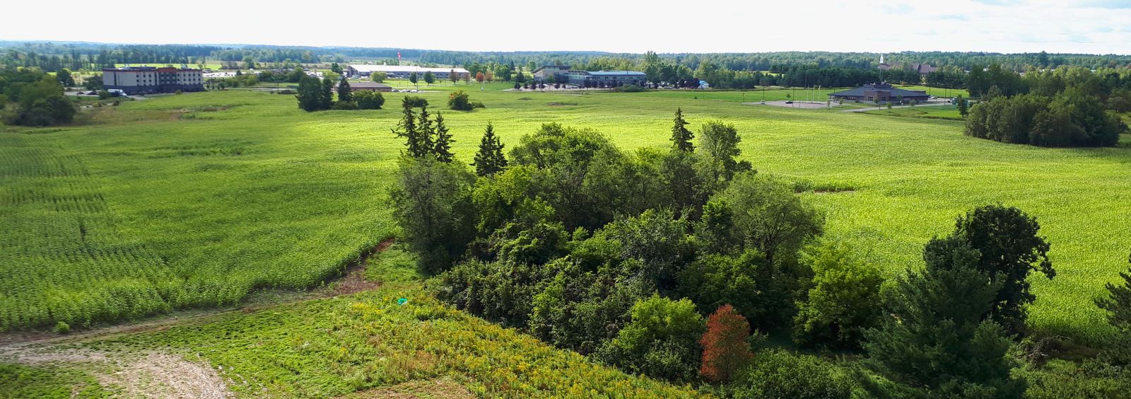 Open land in an industrial park.