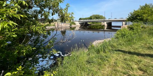 A river with absorbent cloth in the water.
