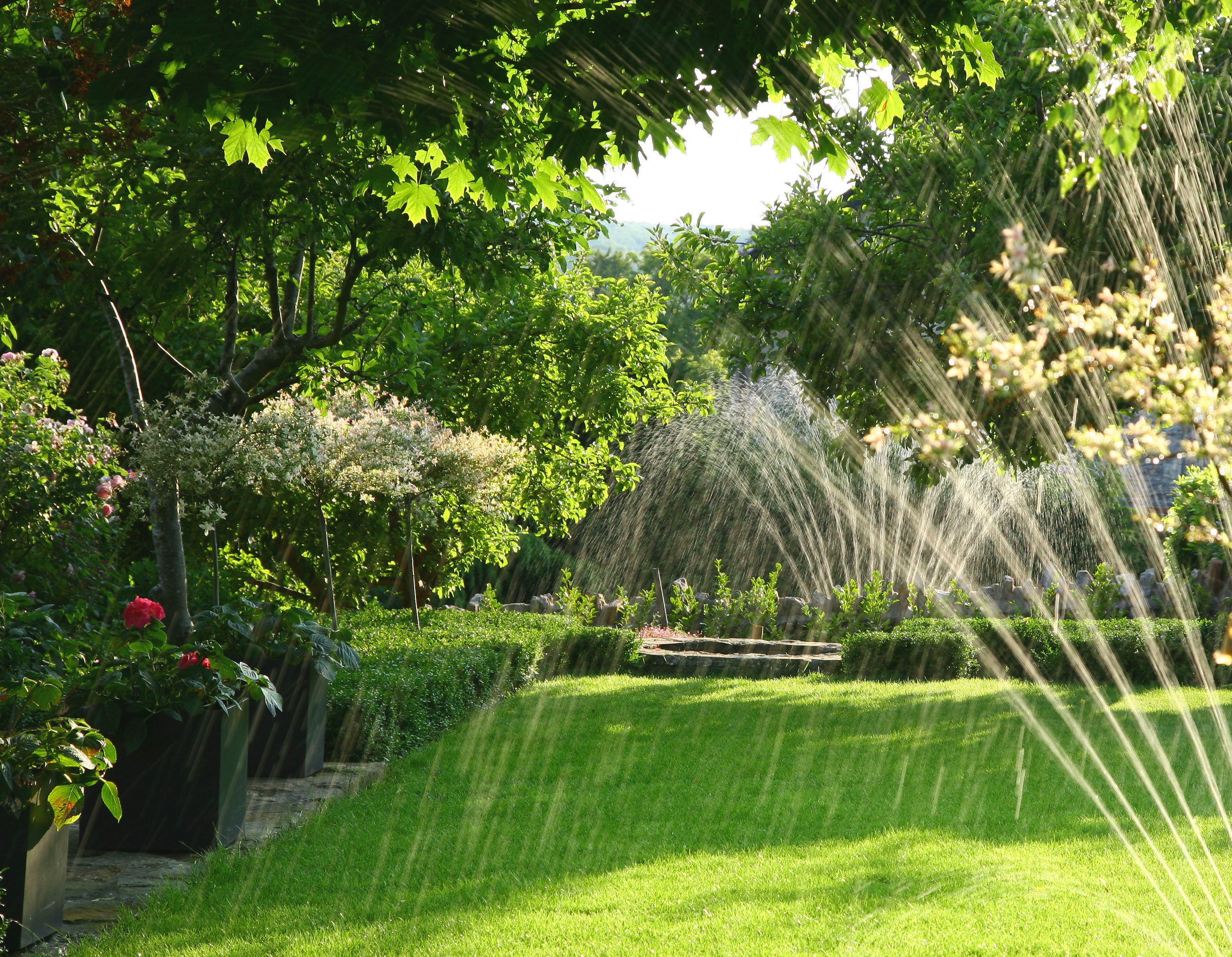 sprinkler watering a lawn