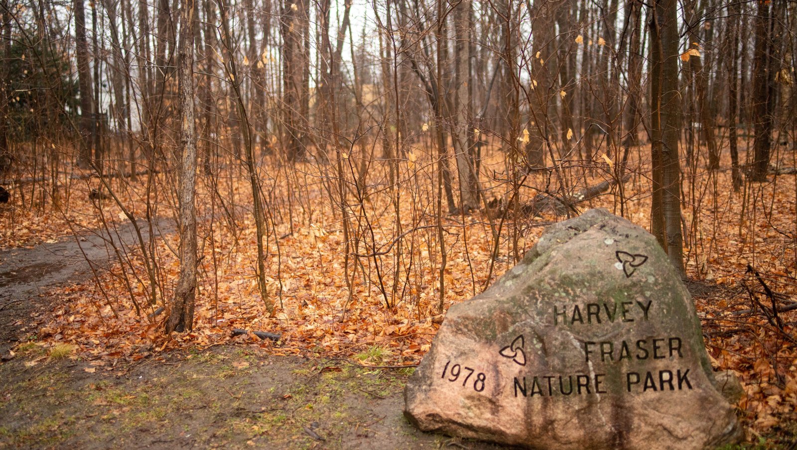 A walking trail in fall.