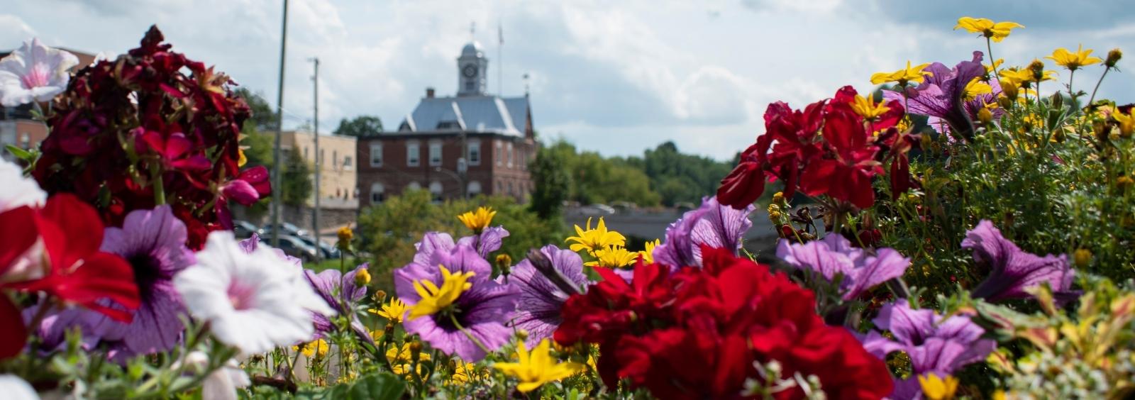 Flowers in front of City Hall.