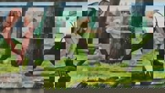 Pembroke Heritage Murals: The Pioneers of Pembroke Township 1820-1850 The Pioneers of Pembroke Township 1820-1850 mural