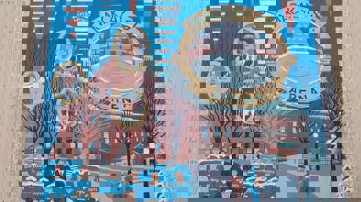 Photo of the Mackay Street Arena mural.