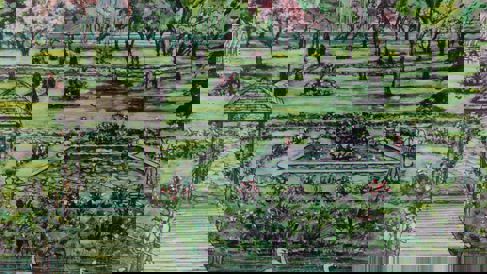 Photo of the Pansy Patch Park mural.